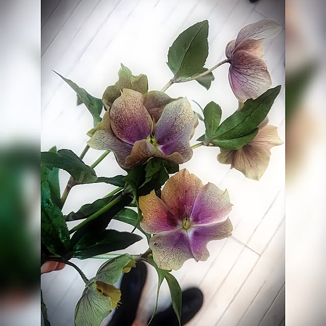 kyooonさんの部屋