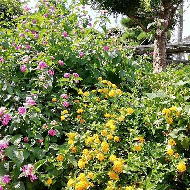 haruiroさんの部屋