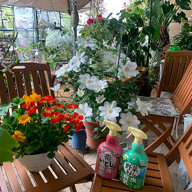 Aqettyさんの部屋