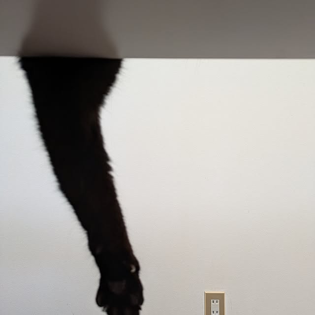 asaさんの部屋