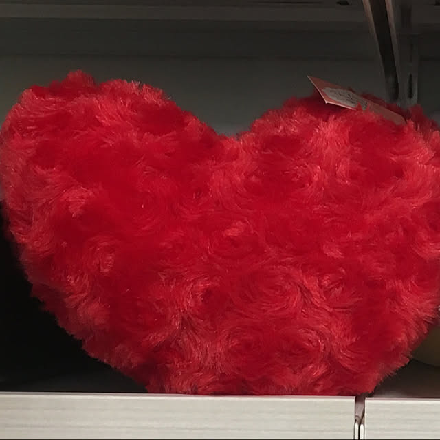 tneegwosさんの実例写真