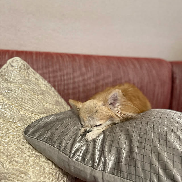 Emafuさんの実例写真