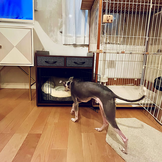 MEさんの実例写真