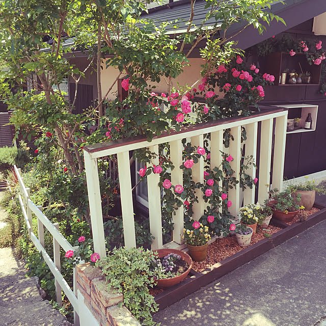 takuyamonth0429さんの実例写真