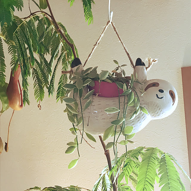 mm319さんの実例写真