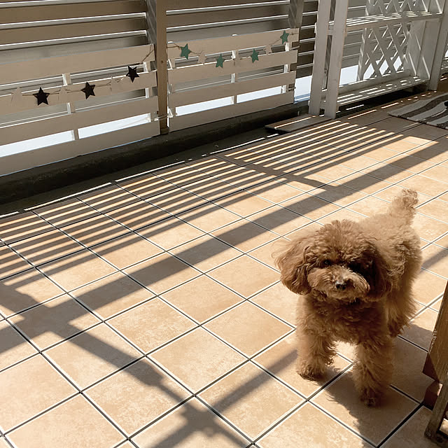ISM.mumさんの実例写真
