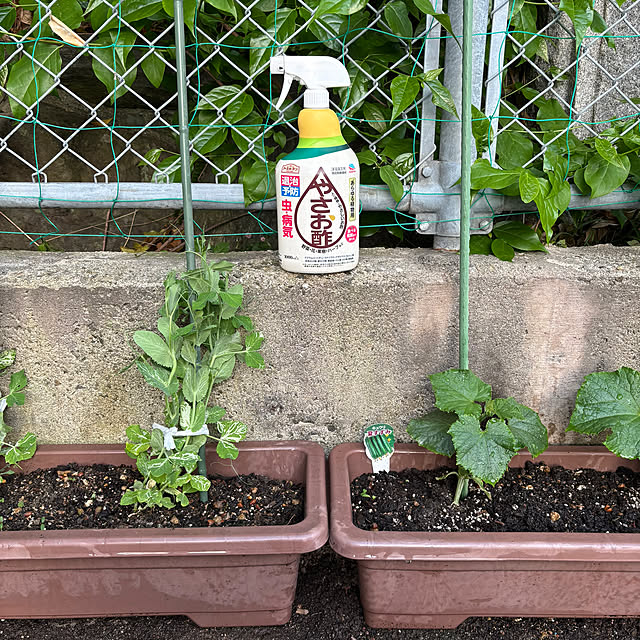 maayaさんの部屋