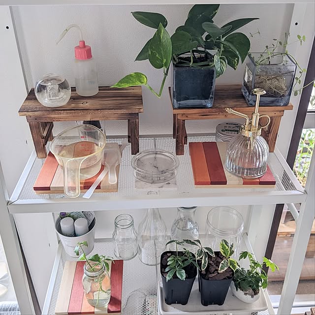 mi-saさんの部屋