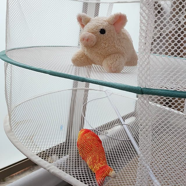 KEIKOさんの実例写真