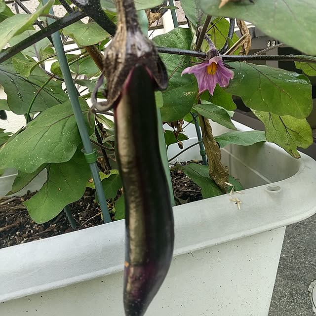 Rさんの部屋