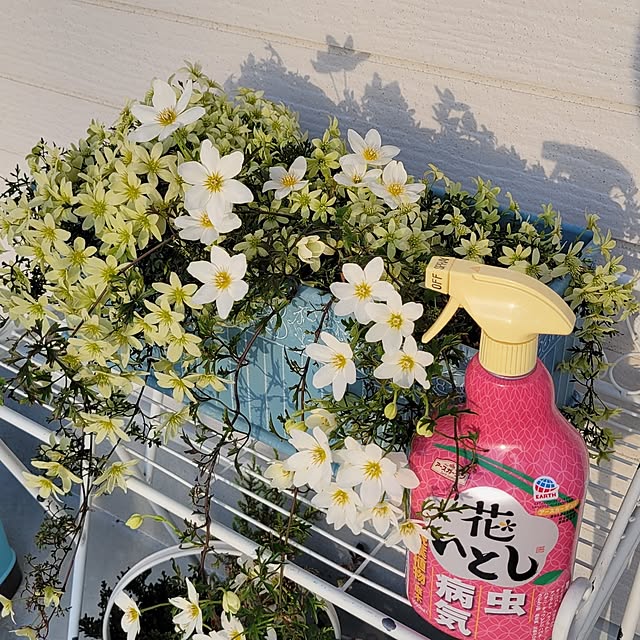 nonbiri_house_さんの部屋