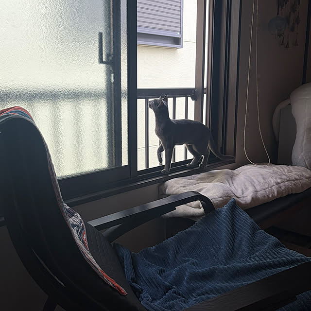 mayugehaさんの実例写真