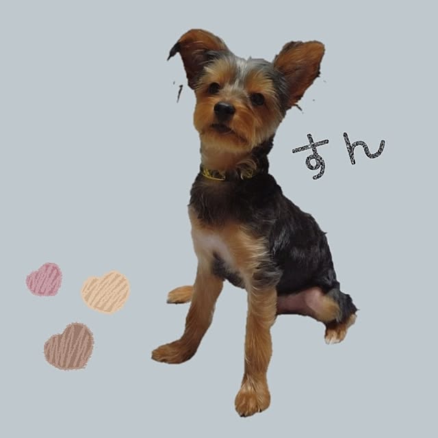 chinon721さんの部屋