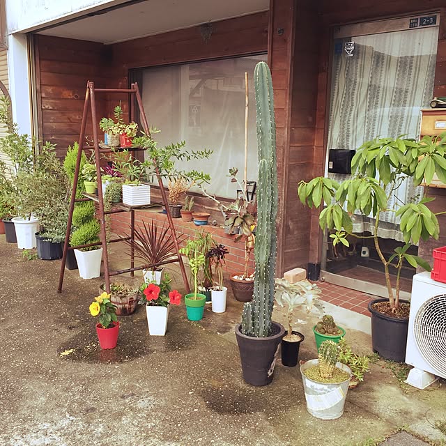 Masahideさんの実例写真