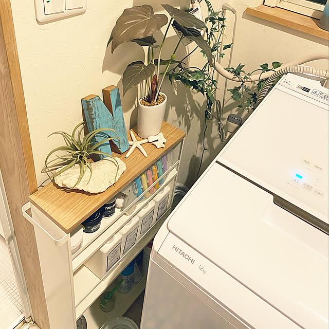 norinonさんの実例写真