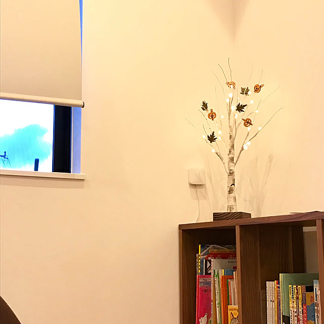 mushitaroさんの実例写真