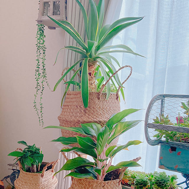 Hanakaさんの部屋