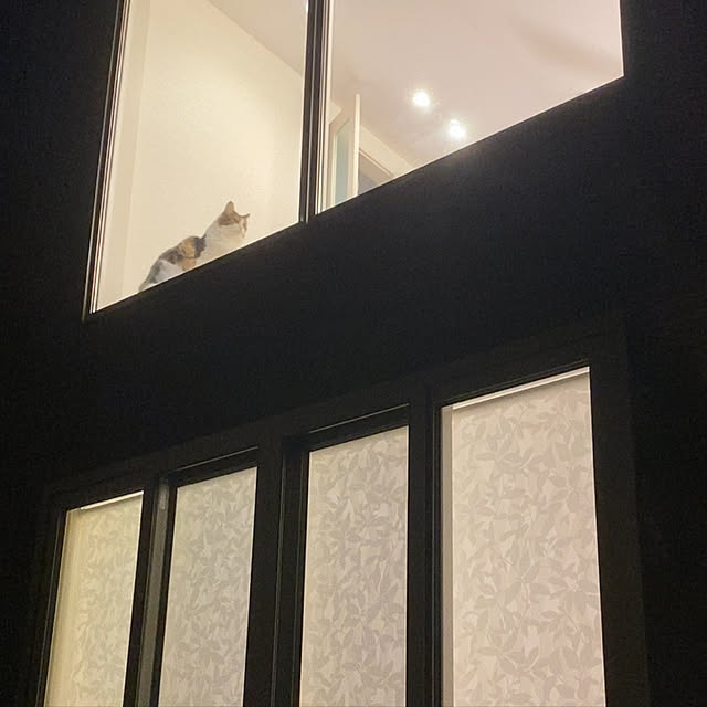 furitamaさんの実例写真