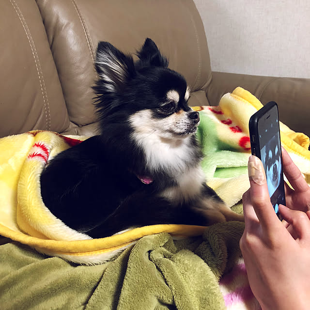 Misakoさんの実例写真