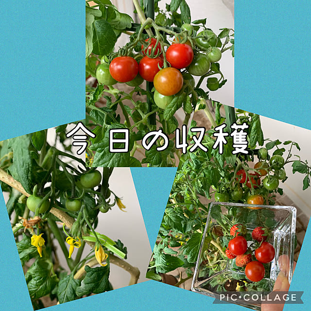 Aqettyさんの部屋