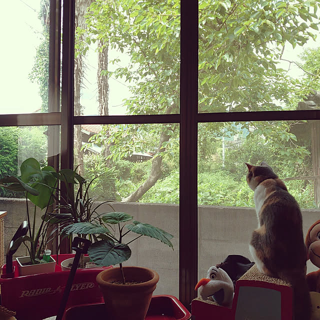 fukuさんの実例写真