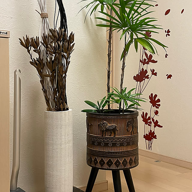 観葉植物/玄関/入り口のインテリア実例 - 2023-04-13 20:12:30