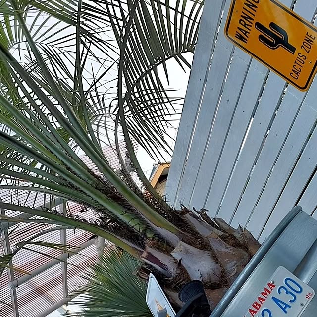 kojikenさんの部屋