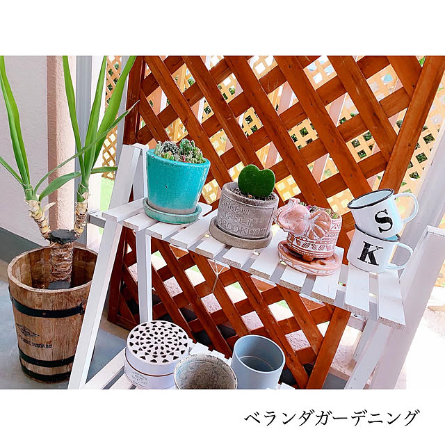 chaluさんの実例写真