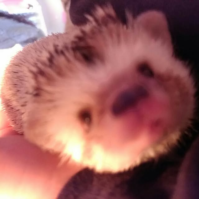 kuruさんの実例写真
