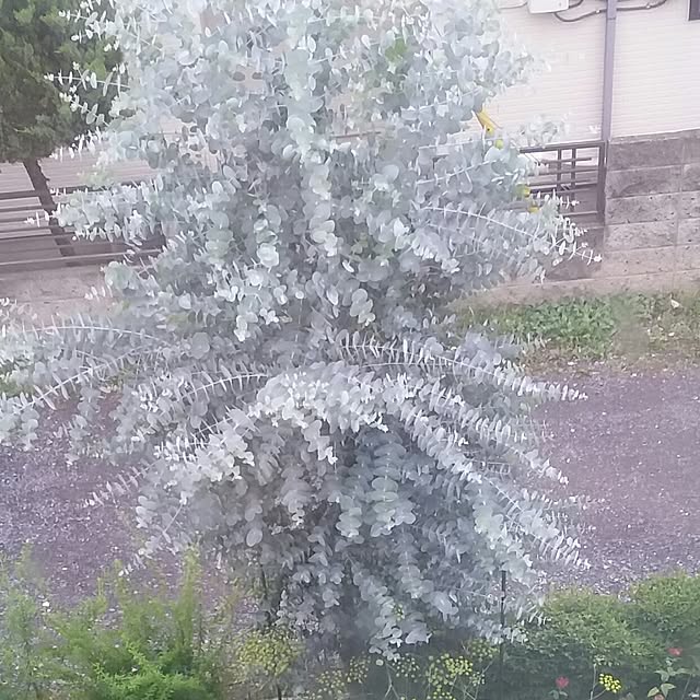 yukkoさんの実例写真