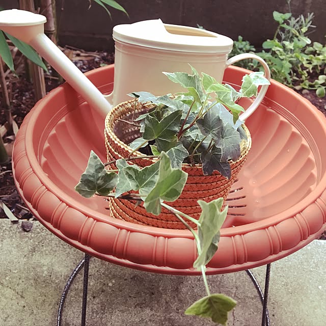 yomiyomiさんの実例写真