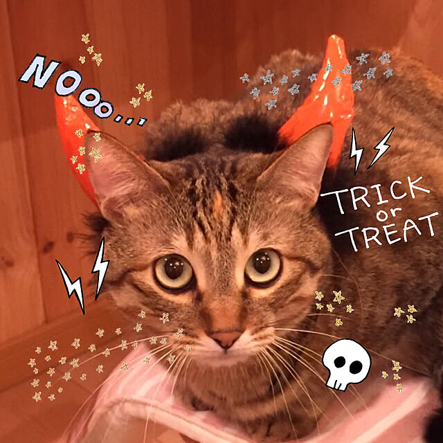 MASAさんの実例写真