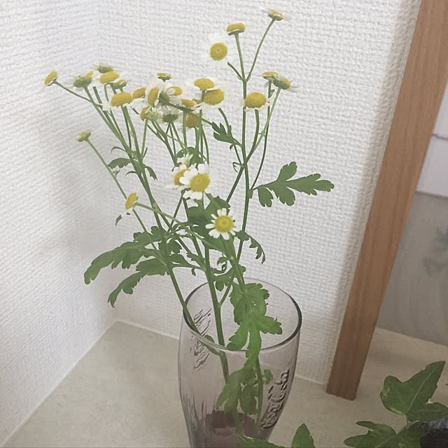 merinさんの実例写真