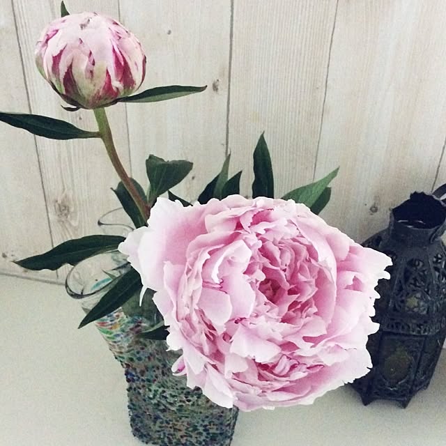 nikomaru2さんの実例写真