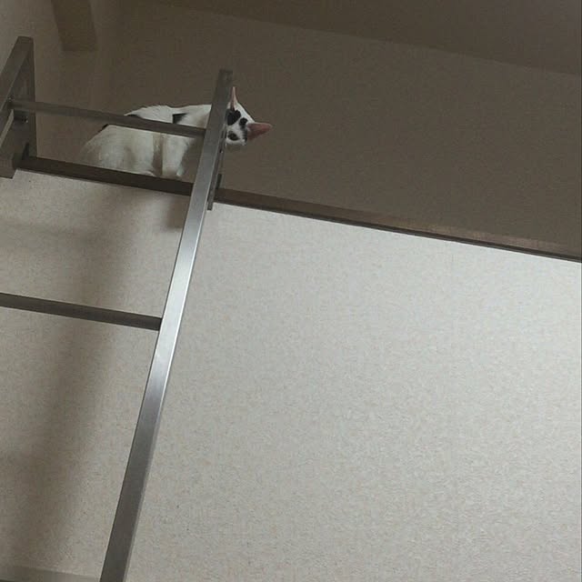 chimuさんの実例写真