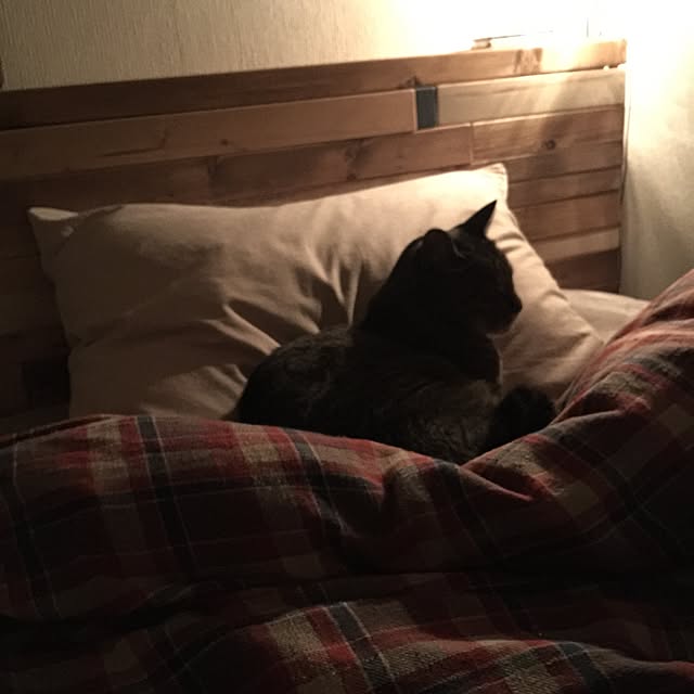 beansさんの実例写真