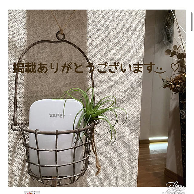 nepenthesさんの実例写真