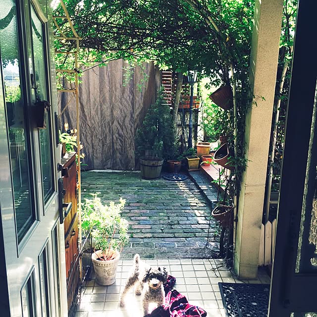 osuzuさんの実例写真