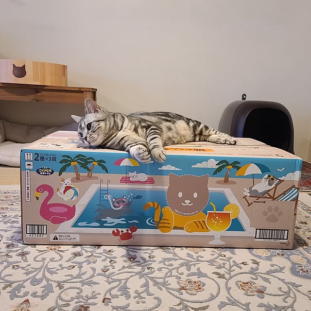 lovepeaceさんの部屋