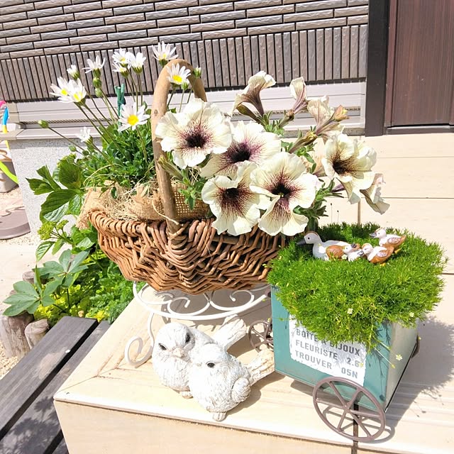mii-sanさんの実例写真