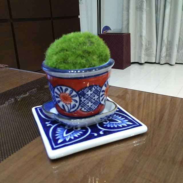 minimamiさんの実例写真