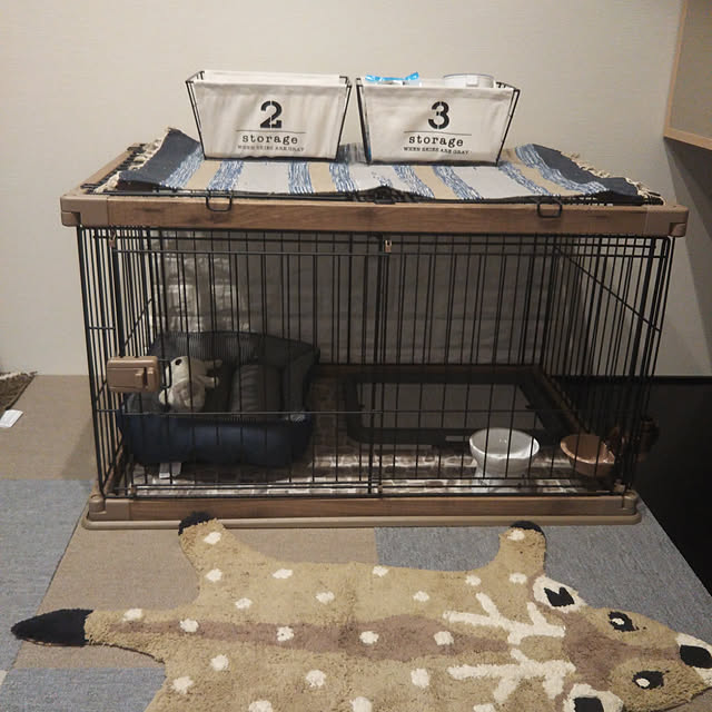 meachan.fukuchanさんの実例写真