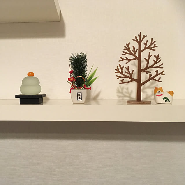 Y.Sさんの実例写真