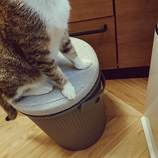 nanaさんの実例写真