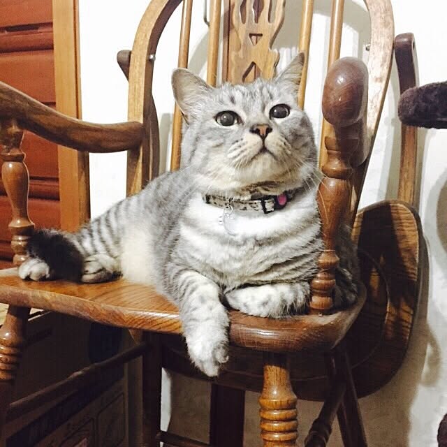 madoさんの実例写真