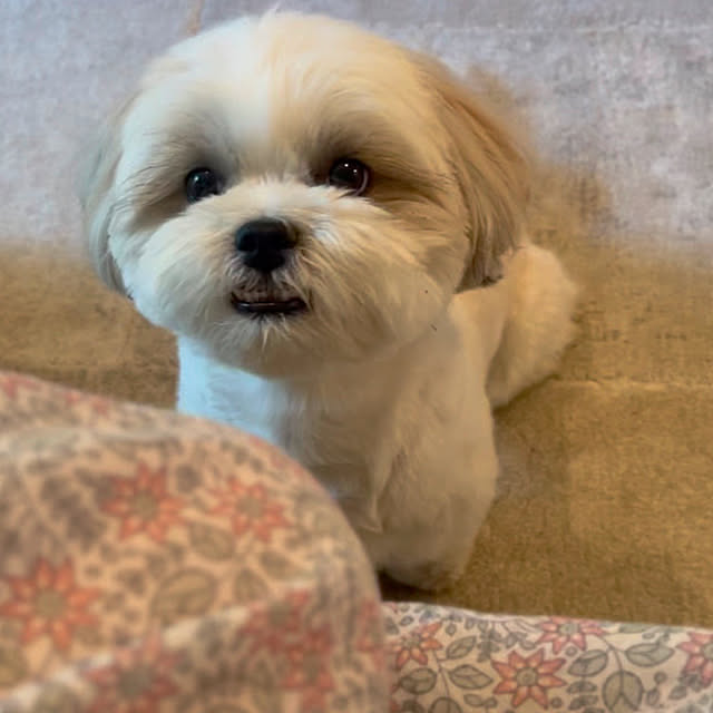 akさんの実例写真