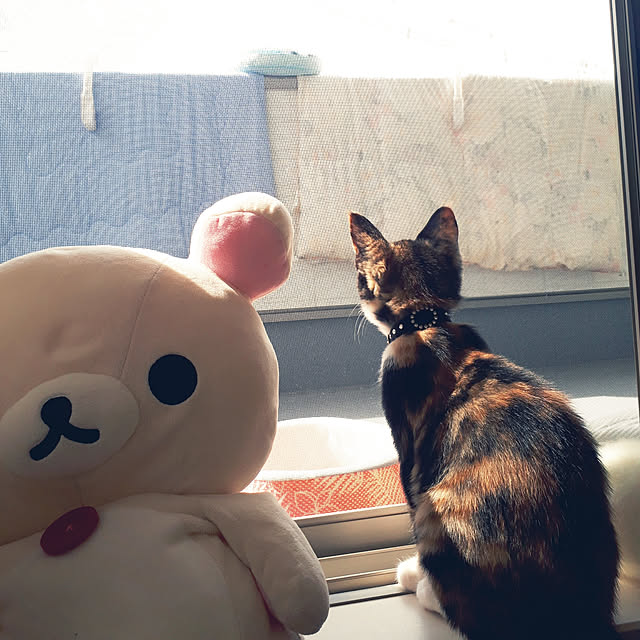 aiさんの実例写真