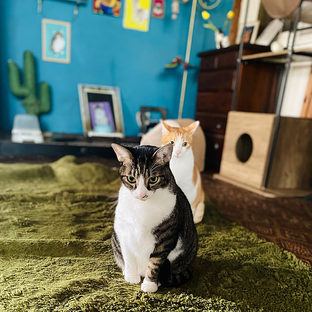 Oreoさんの実例写真