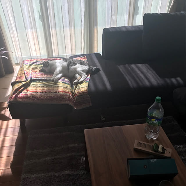 cherryさんの実例写真