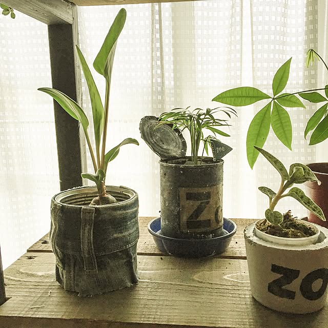 kazooさんの実例写真
